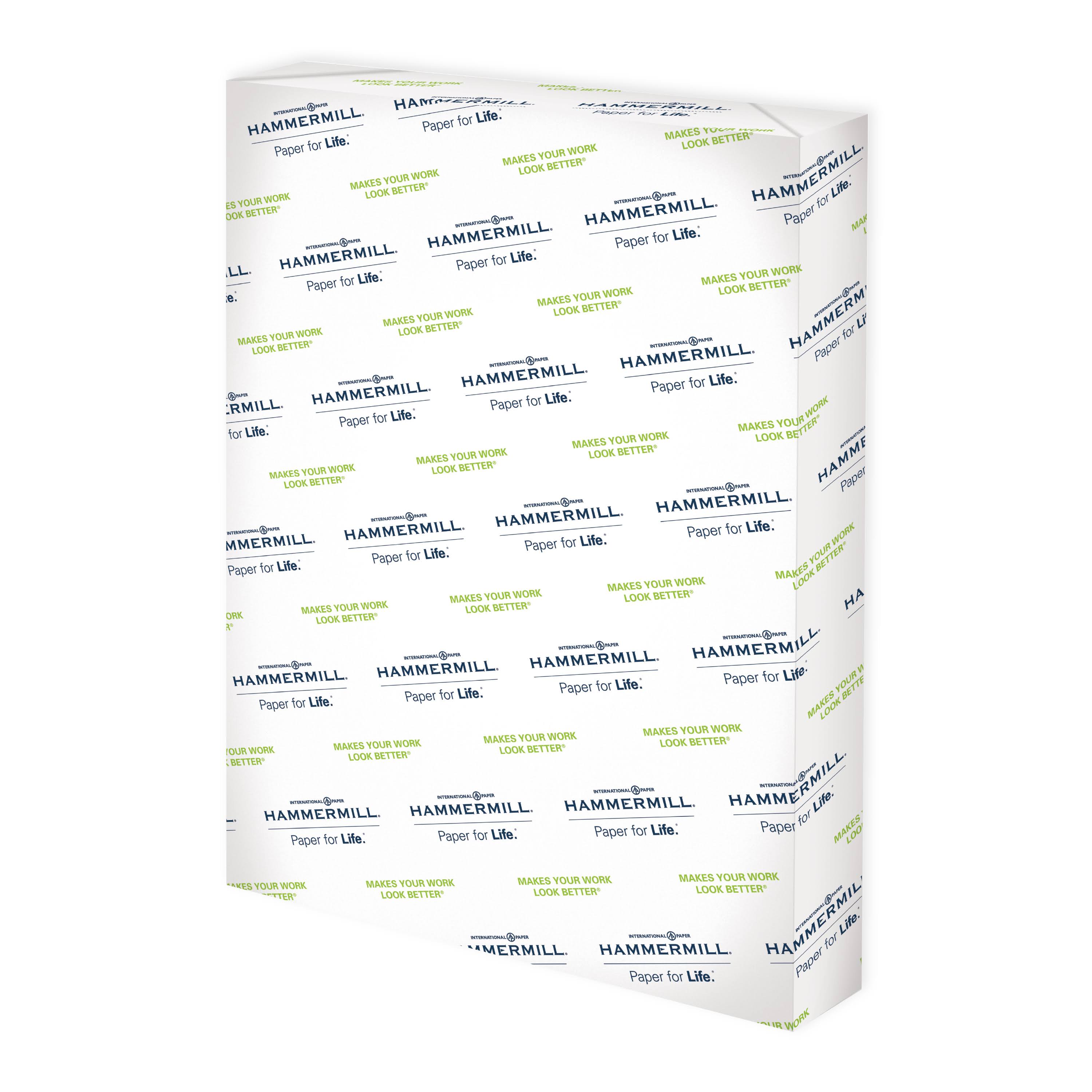 19x13 80lb 100 Bright Cardstock 250 Sheets S79276