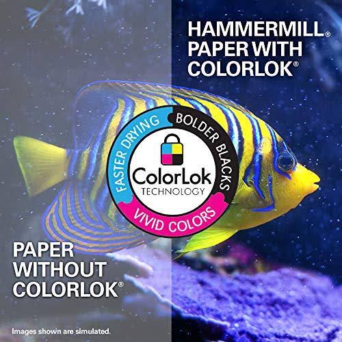 19x13 80lb 100 Bright Cardstock 250 Sheets S79276