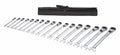 17 Pc Metric Ratcheting Wrench Set N5789