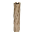 19mm x 50mm Carbide Tip Annular Cutter I154