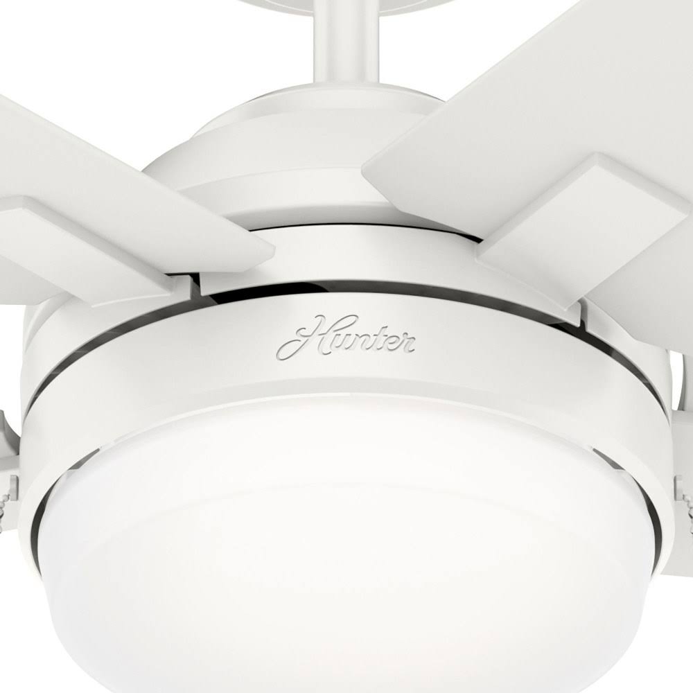 Indoor LED Ceiling Fan F71019