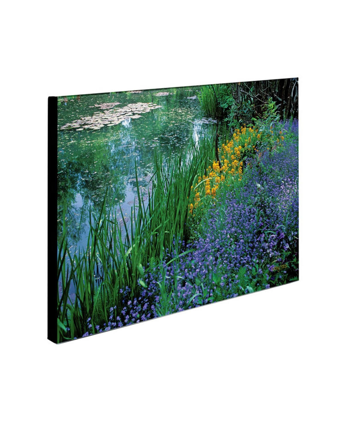 Canvas Art G778