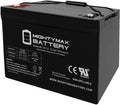 12V 100AH Deep Cycle VRLA Battery X129772