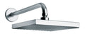 Shower Head and Arm D39350