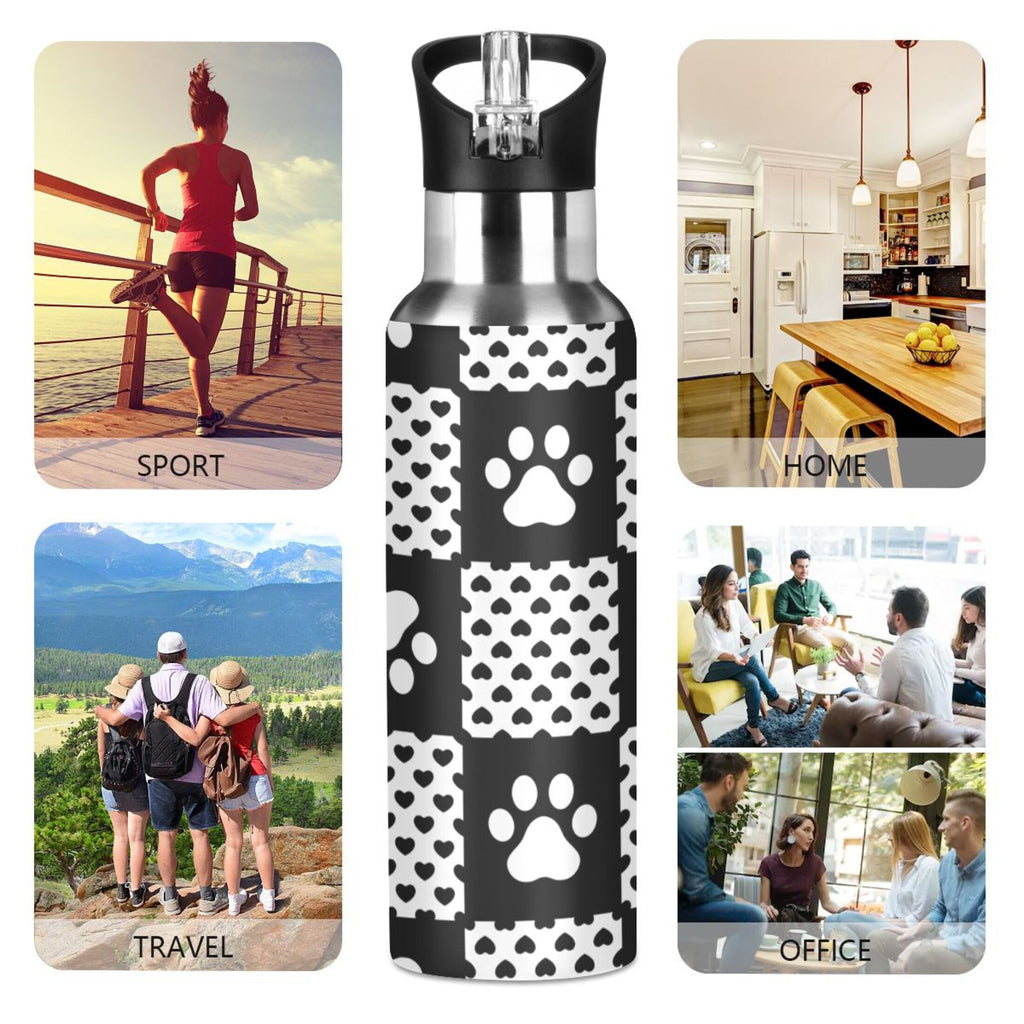 20 OZ Stainless Steel Water Bottle with Straw Lid Y819