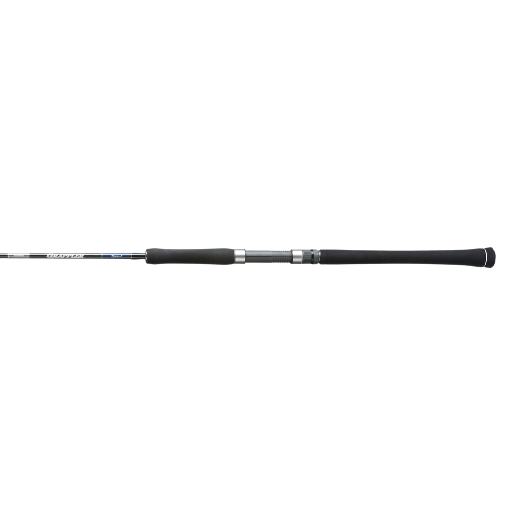 Saltwater Jigging Spinning Rod N3526