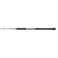 Saltwater Jigging Spinning Rod N3526