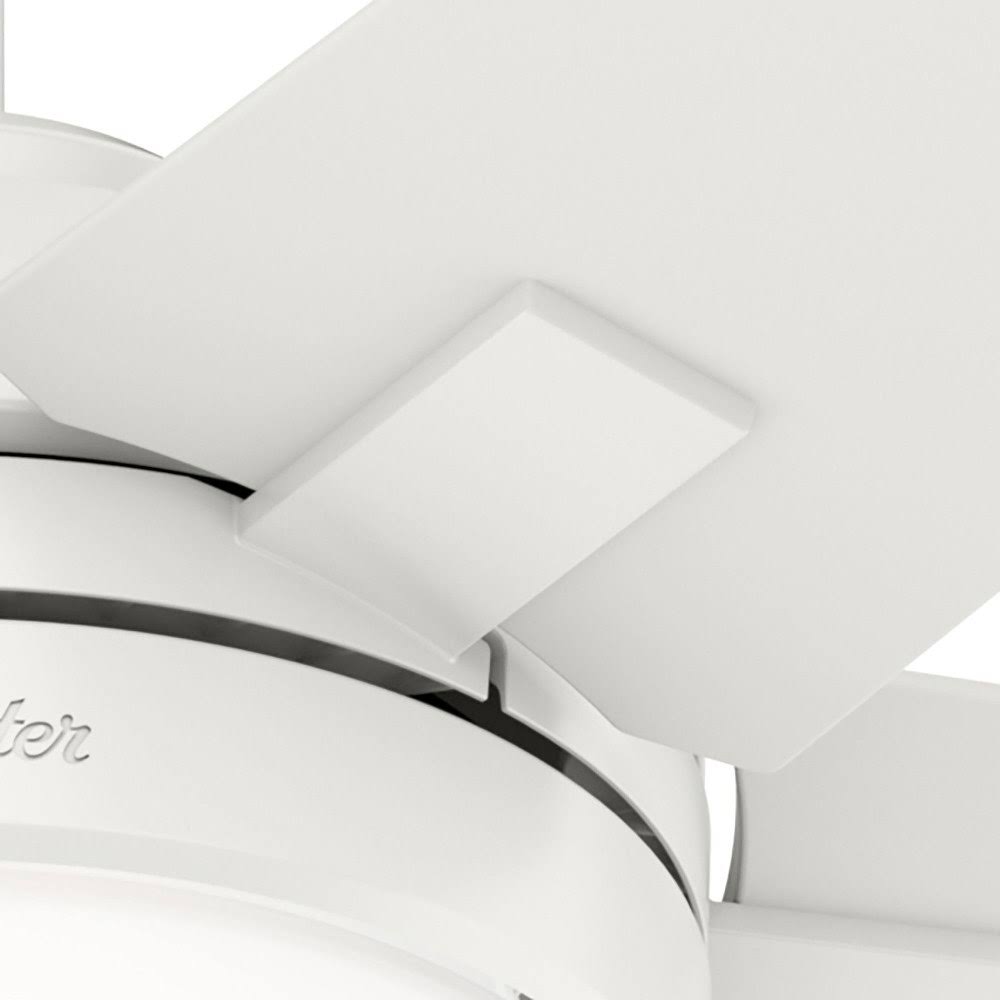 Indoor LED Ceiling Fan F71019