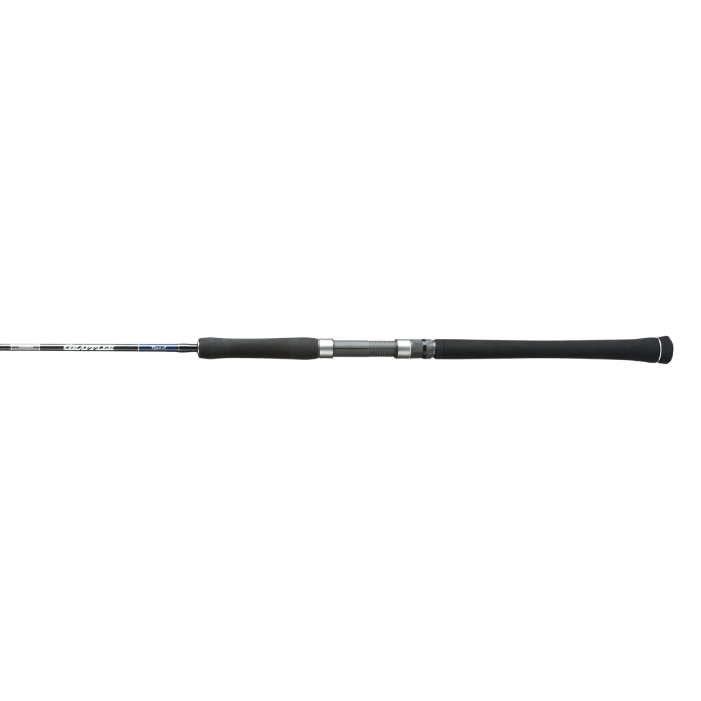 Saltwater Jigging Spinning Rod N3526