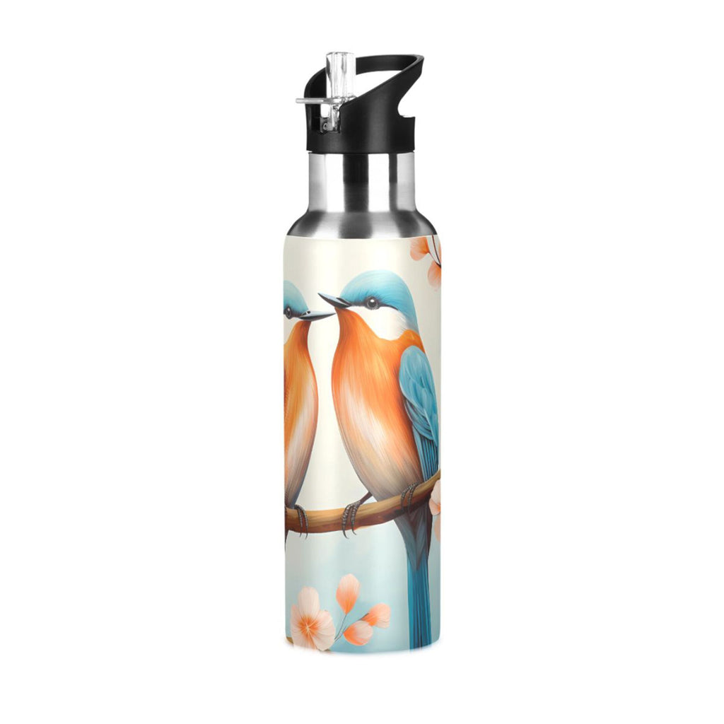 Insulated Thermos Stainless Steel Water Bottle with Straw Lid Leakproof 20 oz V19939