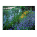 Canvas Art G778