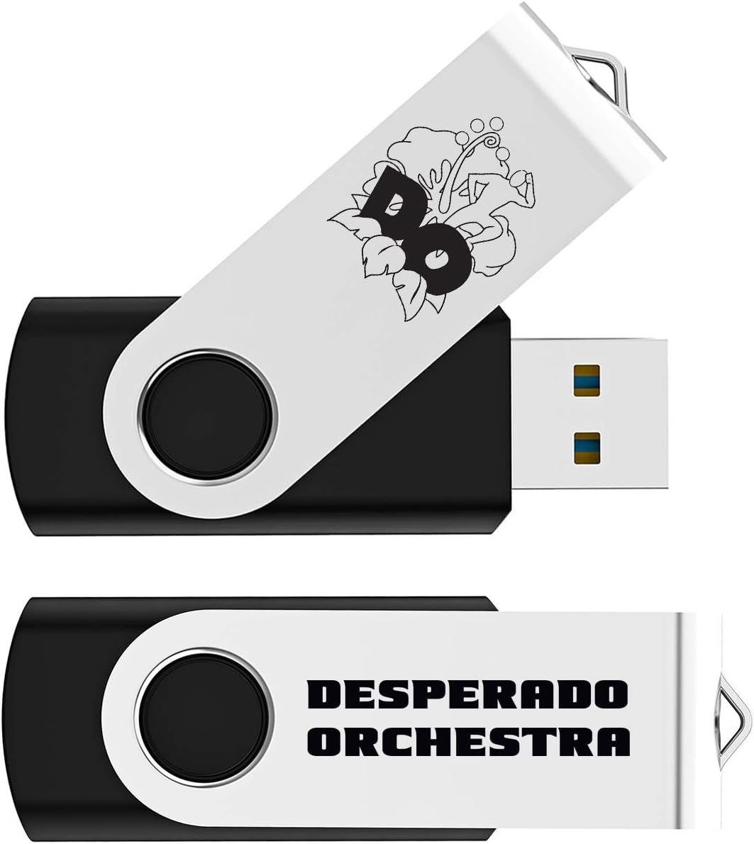 Black Pack of 2 Swivel USB Flash Drives T54095
