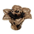 Antique Gold Novelty Knob E509223