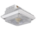 75W Dimmable LED Canopy Lights 9,000 Lumens P361