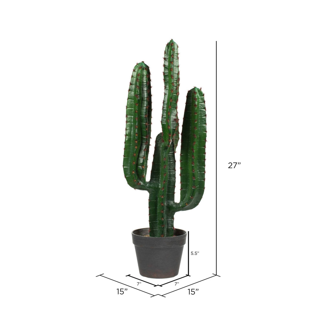 Green Potted Cactus G413955