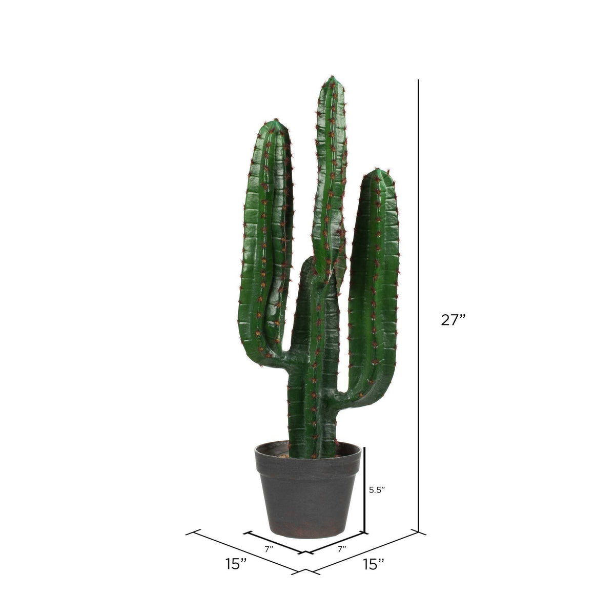 Green Potted Cactus G413955