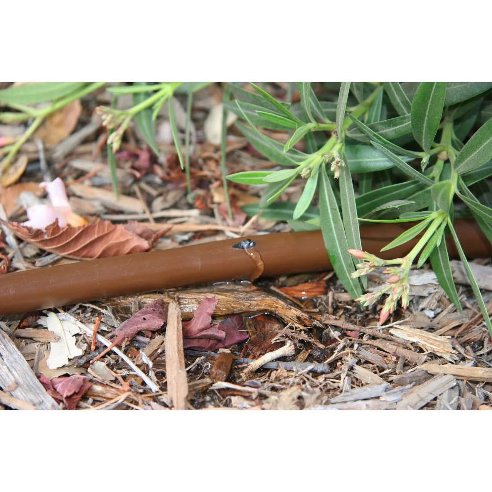 Brown 0.25 in. x 50 ft. Emitter Tubing T7746