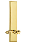 Lifetime Brass Tall Plate Lever F44952