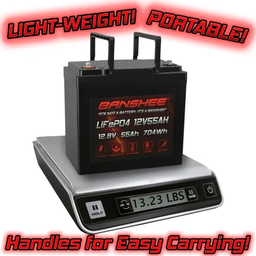 12V 55AH Lithium LiFePO4 Deep Cycle Battery 2 Pack P409