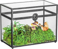 Black Geometric Glass Card Box Terrarium, Pack of 2 C247