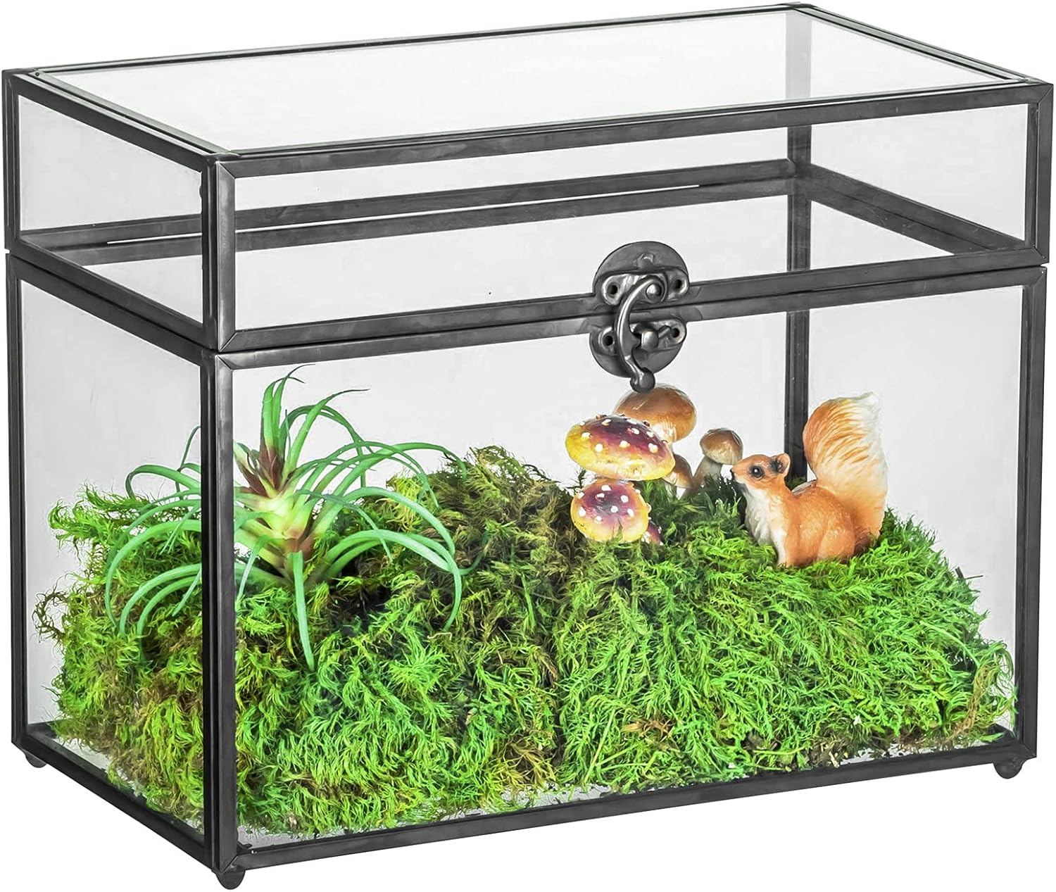 Black Geometric Glass Card Box Terrarium, Pack of 2 C247