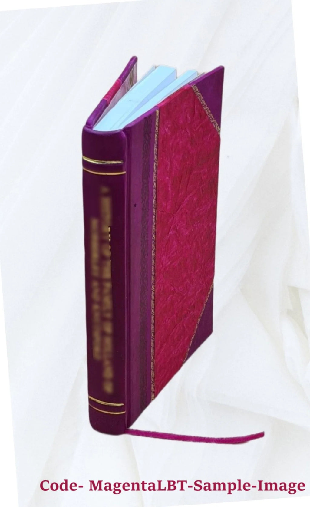 Hob-or-Nob; a comical poem; 1870 Leather Bound B726571