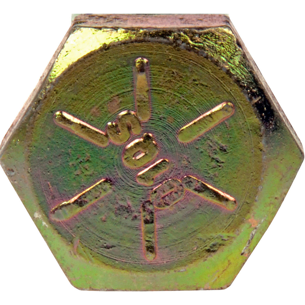 Cap Screw W9099