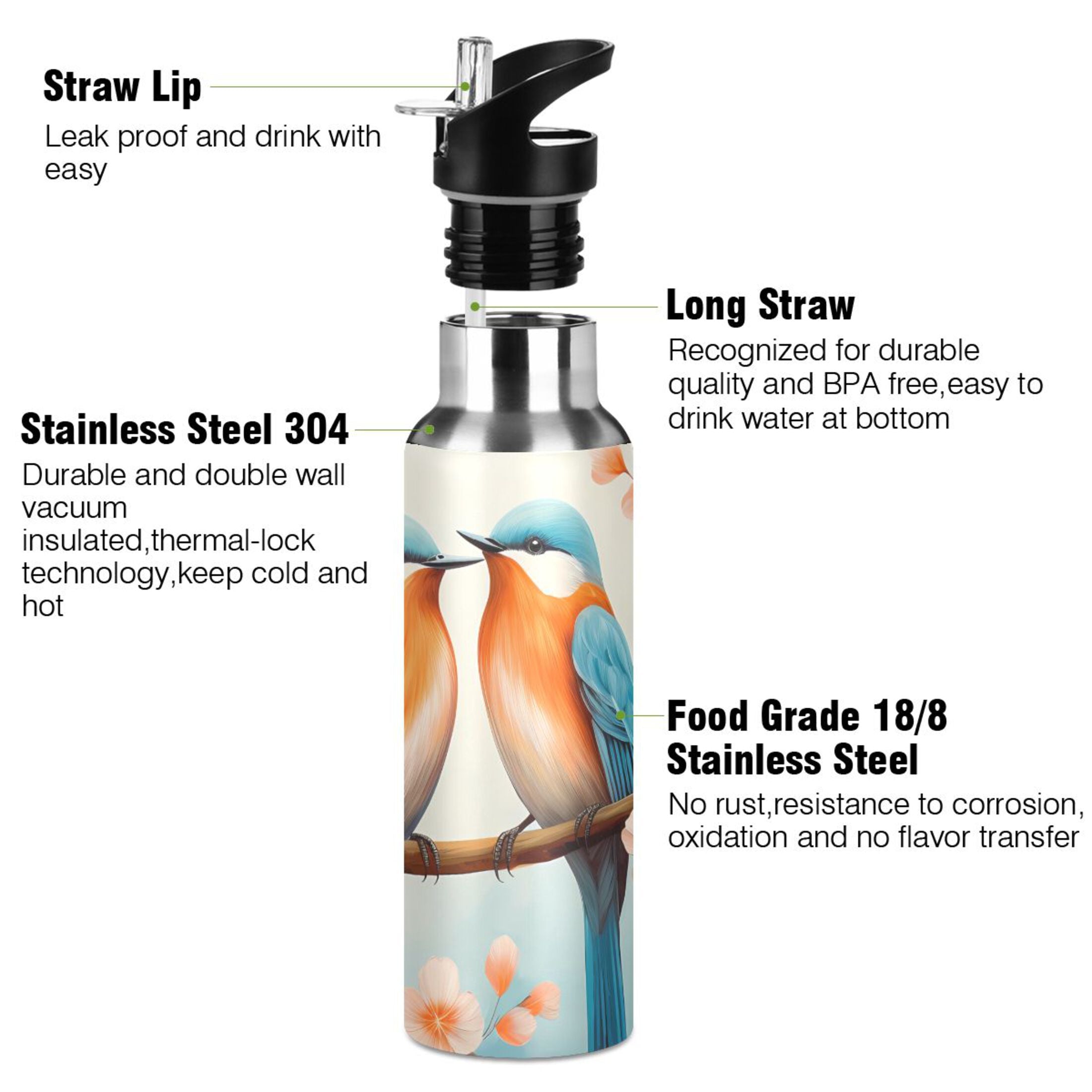 Insulated Thermos Stainless Steel Water Bottle with Straw Lid Leakproof 20 oz V19939