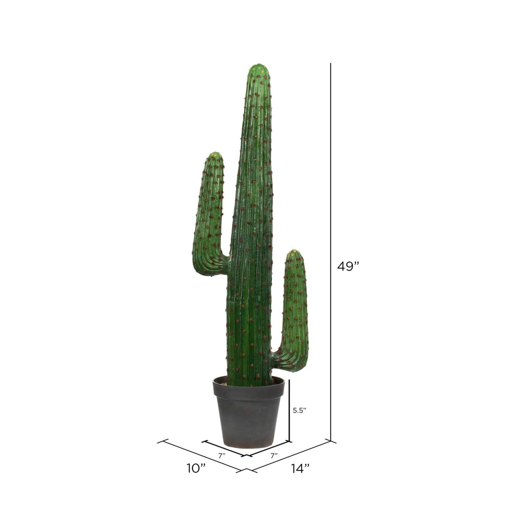 Green Potted Cactus G413955
