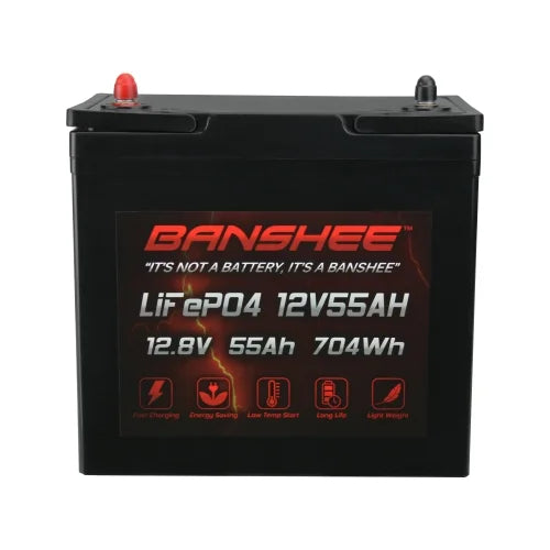 12V 55AH Lithium LiFePO4 Deep Cycle Battery 2 Pack P409