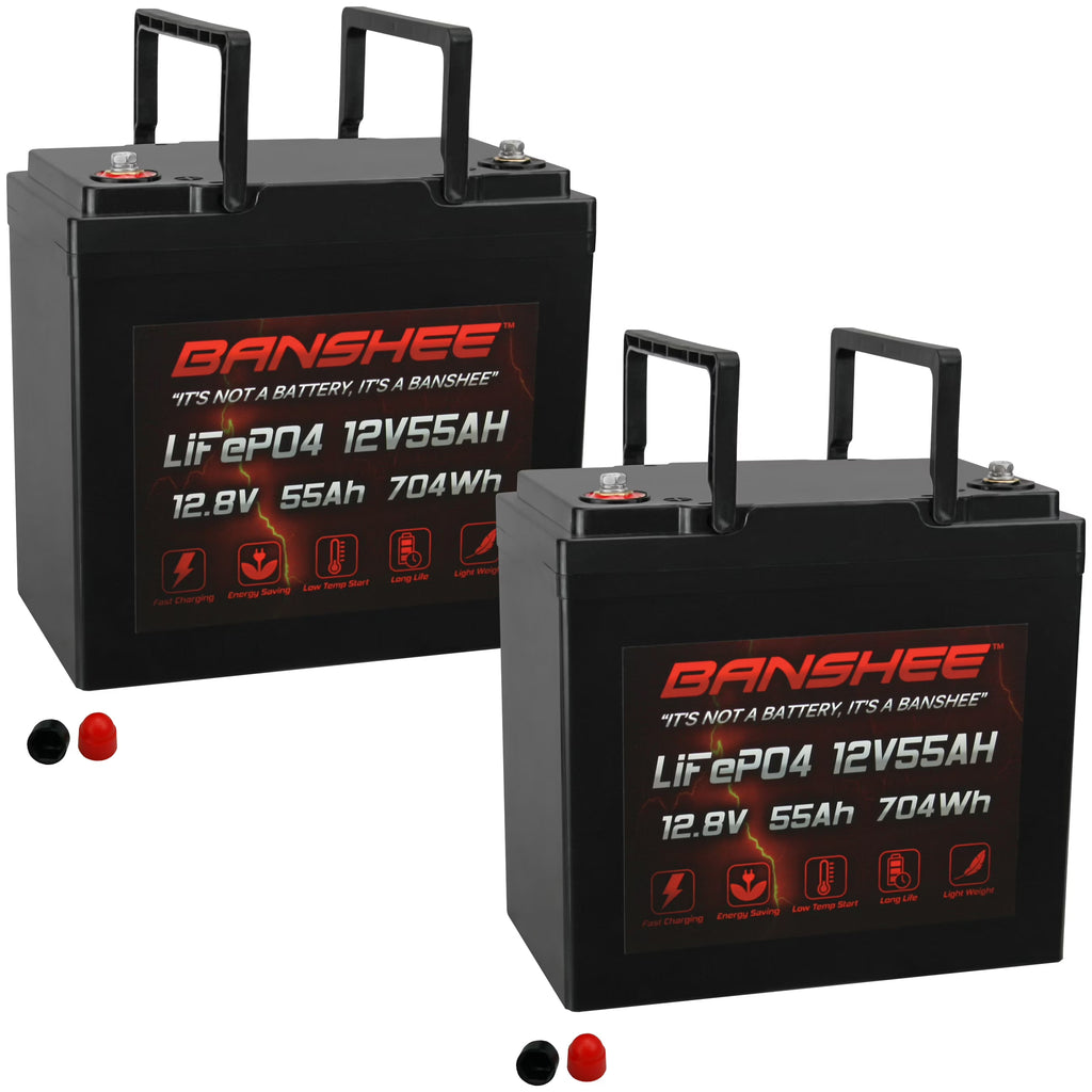 12V 55AH Lithium LiFePO4 Deep Cycle Battery 2 Pack P409