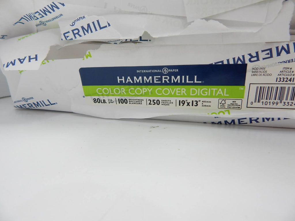 19x13 80lb 100 Bright Cardstock 250 Sheets S79276