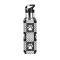 20 OZ Stainless Steel Water Bottle with Straw Lid Y819