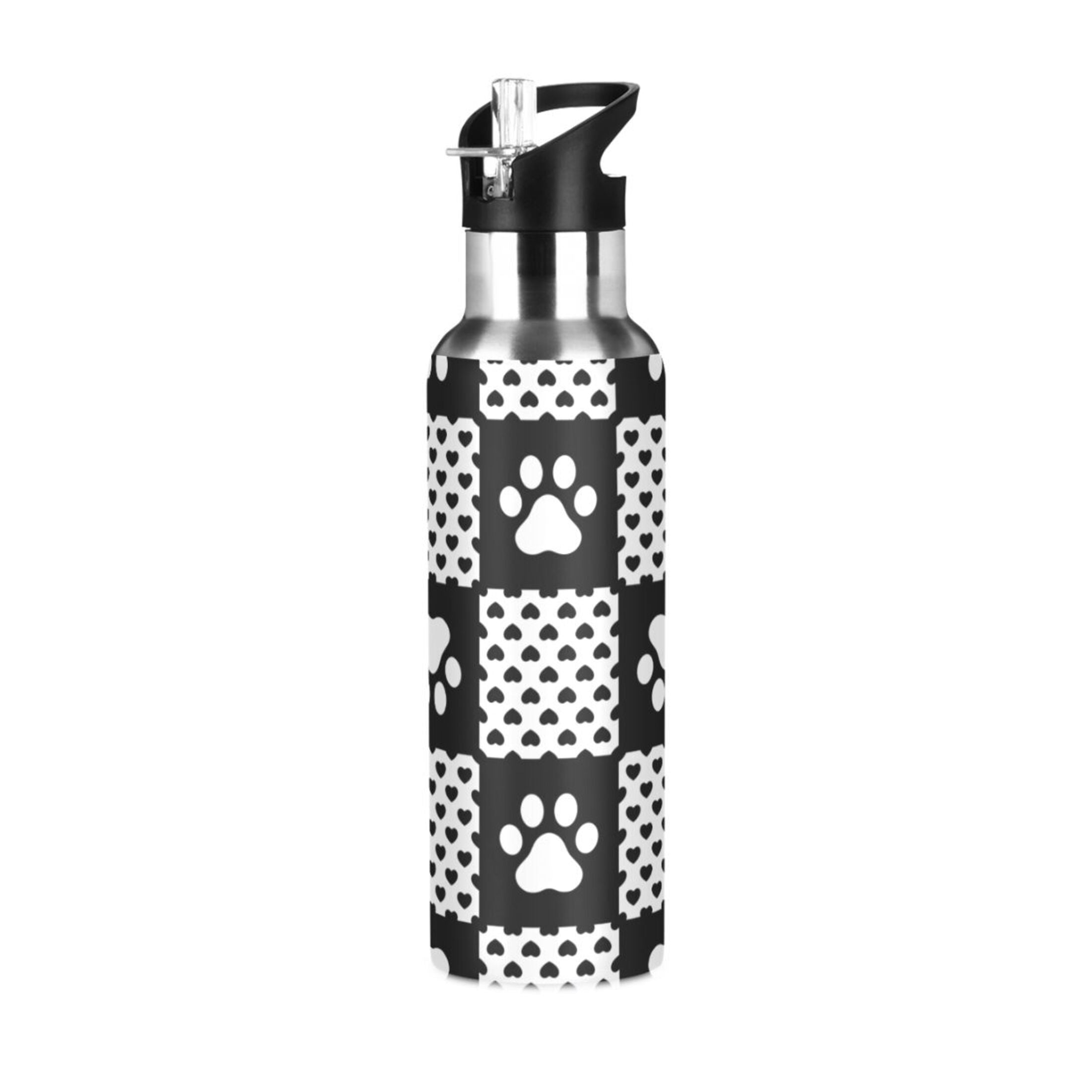 20 OZ Stainless Steel Water Bottle with Straw Lid Y819