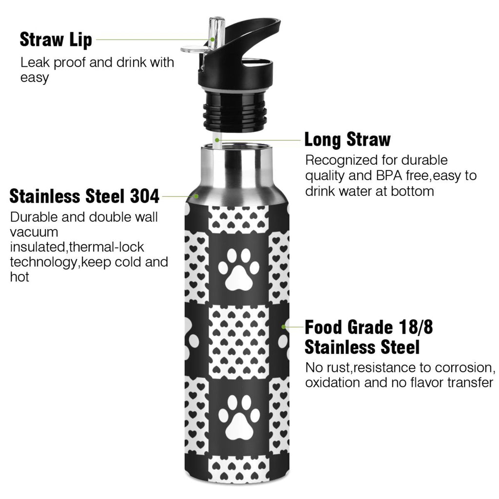 20 OZ Stainless Steel Water Bottle with Straw Lid Y819