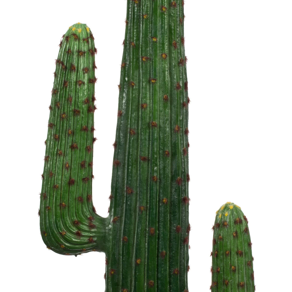 Green Potted Cactus G413955