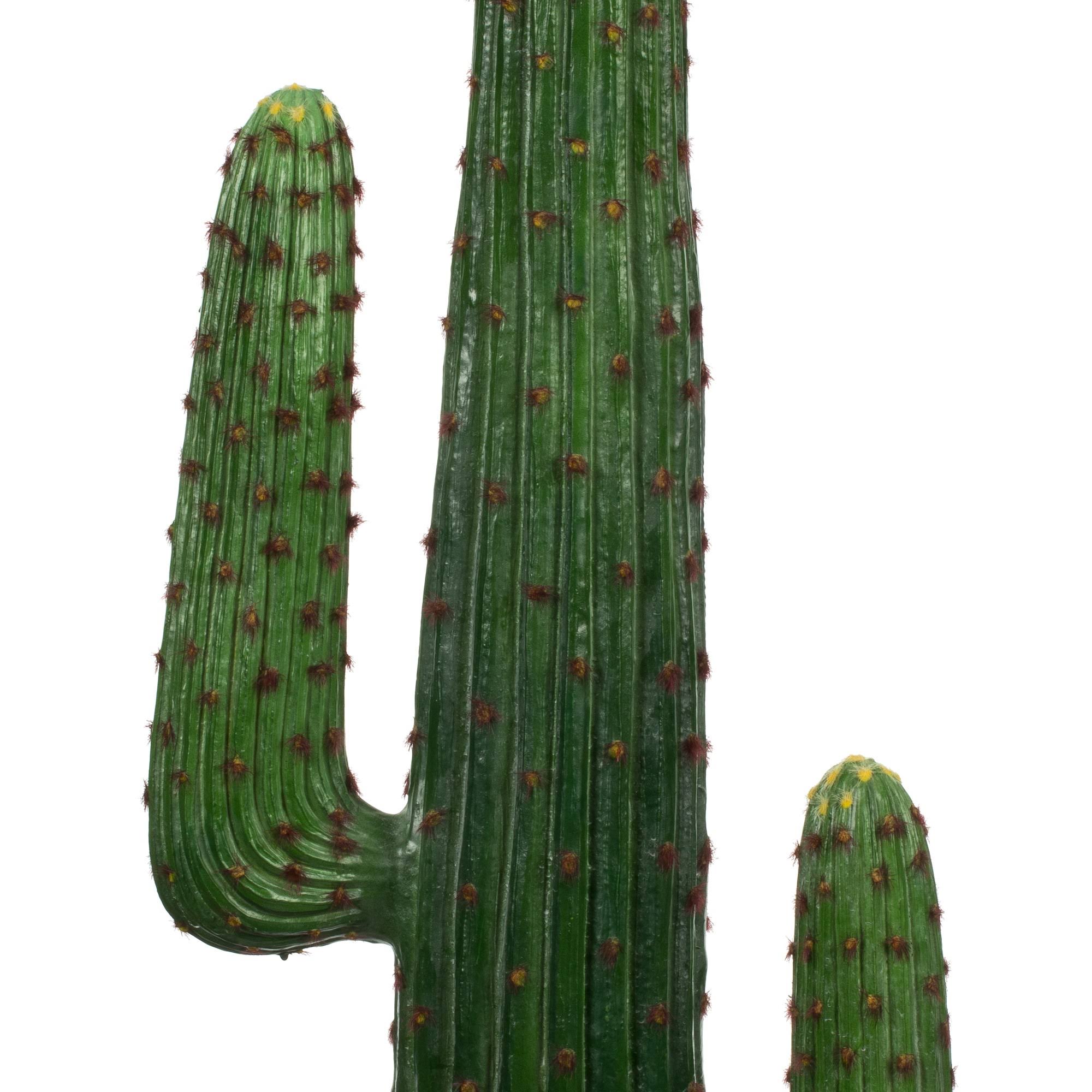 Green Potted Cactus G413955