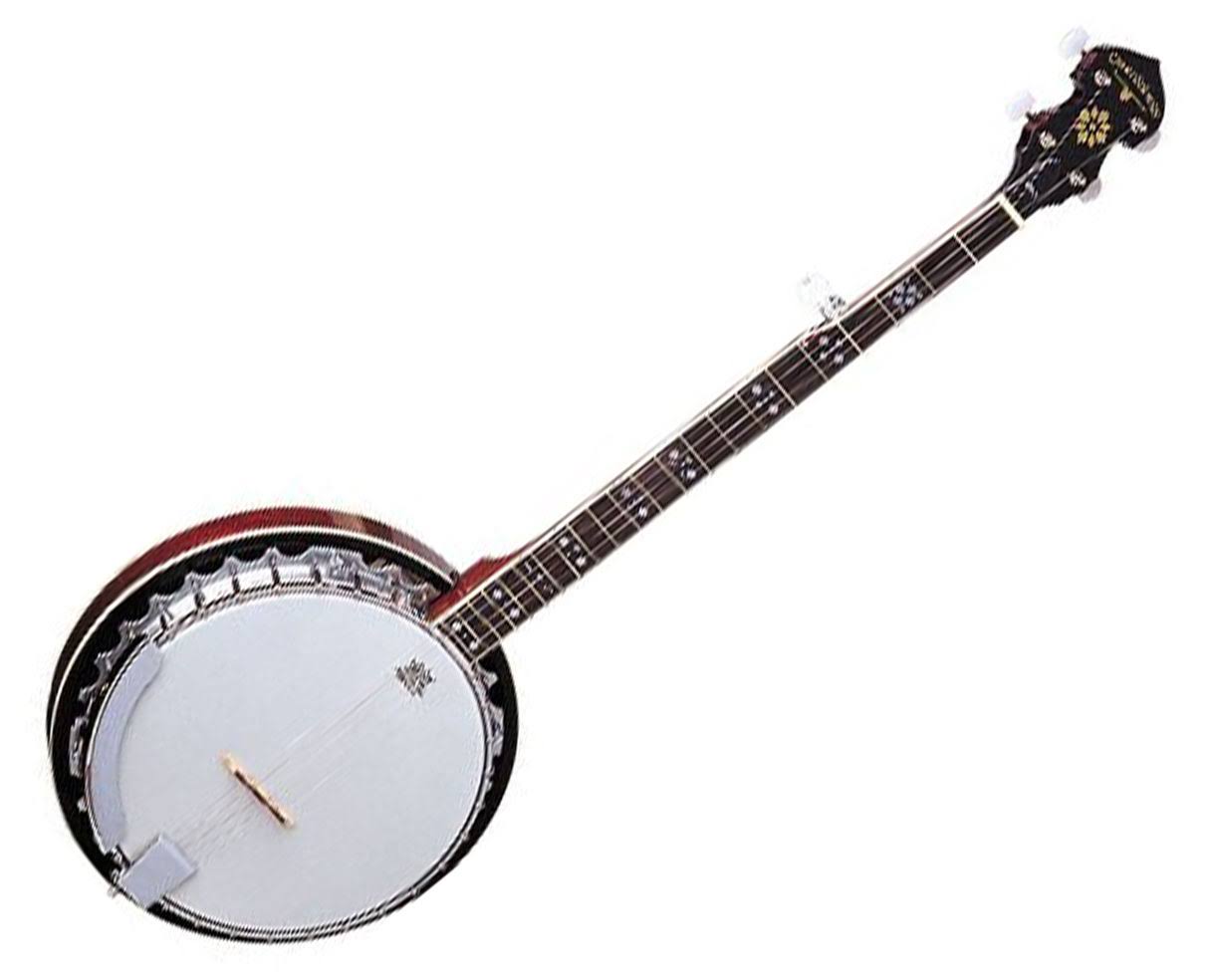 5-String Banjo I576