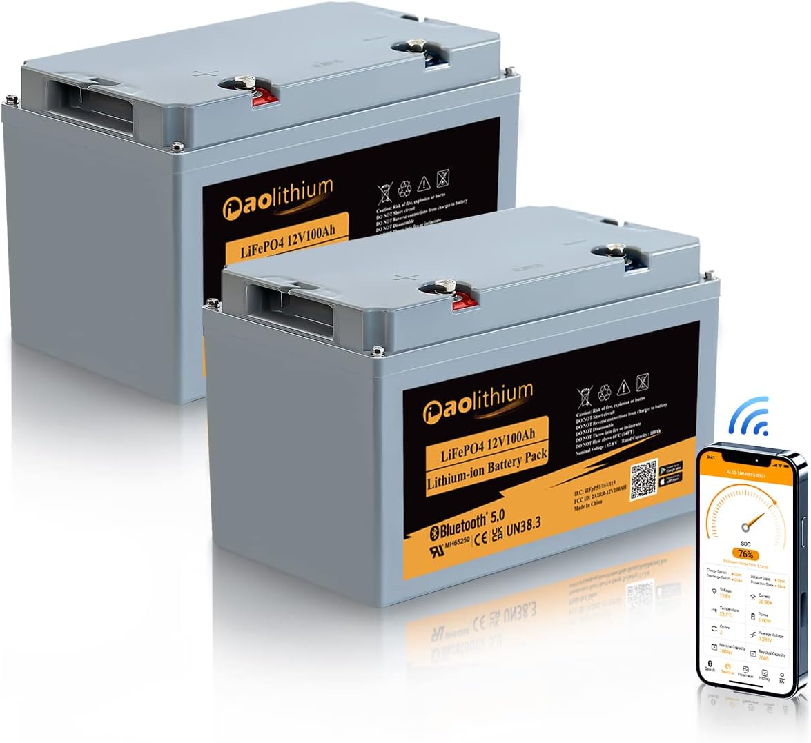 12V 100Ah LiFePO4 Battery with Bluetooth 4000 Cycles Built-in BMS 2Pack Y62075