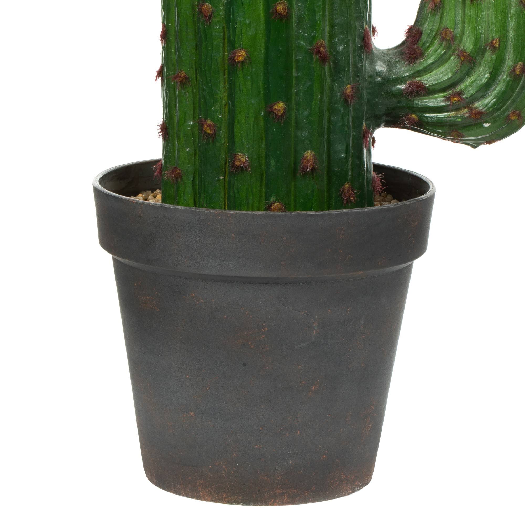 Green Potted Cactus G413955