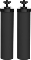 2 Filters Black Water Filter Cartridge P4910