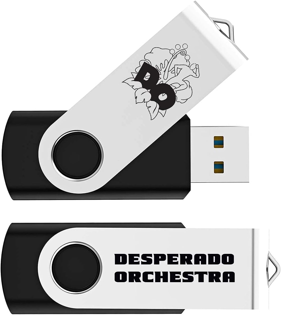 Black Pack of 2 Swivel USB Flash Drives T54095