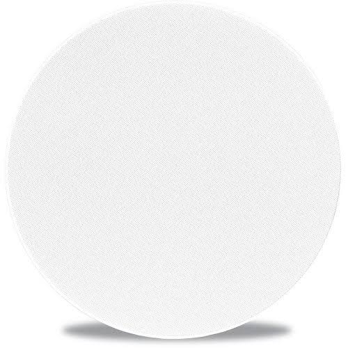 In-Ceiling Speaker N5379