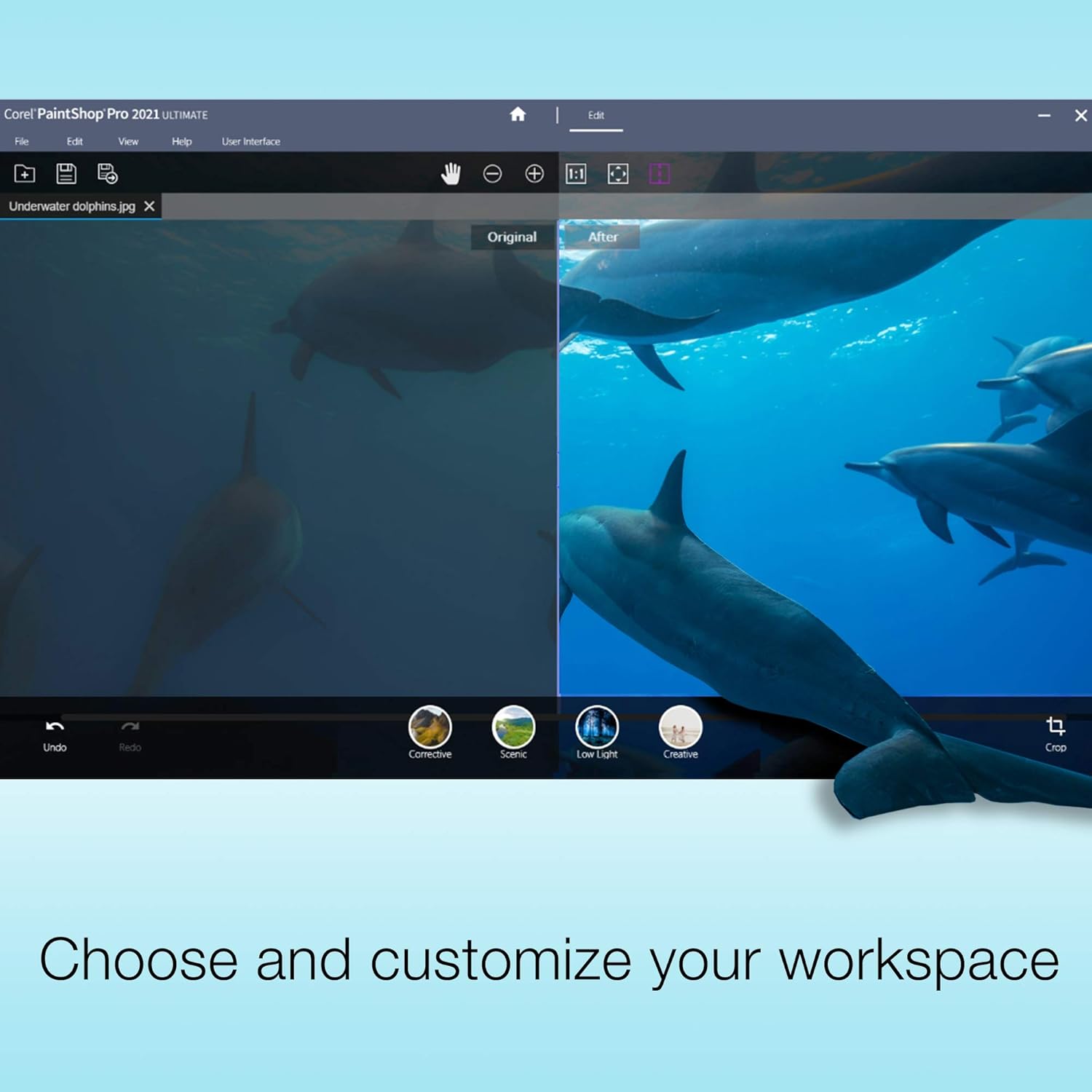 Photo-Editing and Movie-Making Software M866