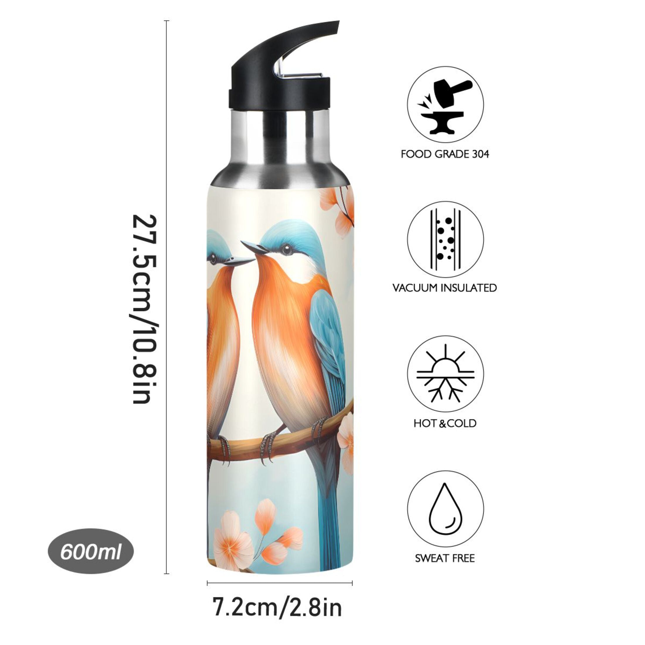 Insulated Thermos Stainless Steel Water Bottle with Straw Lid Leakproof 20 oz V19939