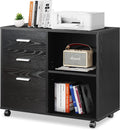 Gray Oak 3-Drawer Mobile Wood File Cabinet F481119
